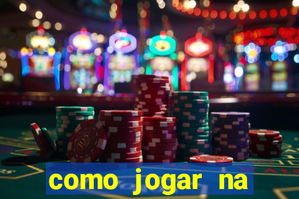 como jogar na seninha online