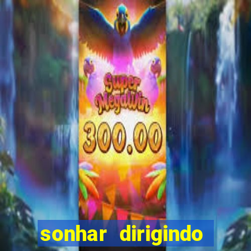 sonhar dirigindo carro jogo do bicho