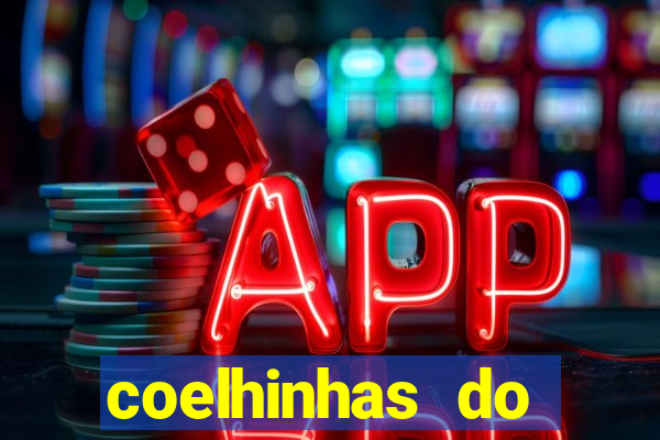 coelhinhas do brasil site