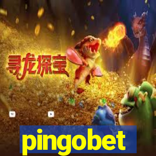 pingobet