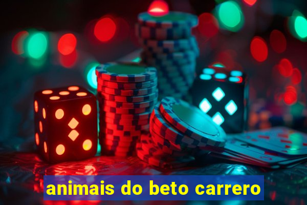 animais do beto carrero