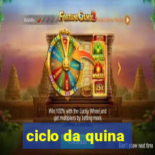 ciclo da quina