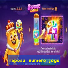 raposa numero jogo do bicho