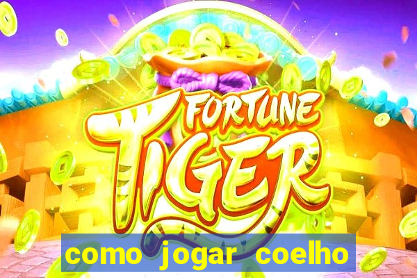 como jogar coelho da fortuna