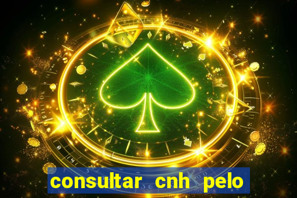 consultar cnh pelo cpf sp