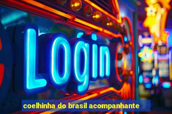 coelhinha do brasil acompanhante