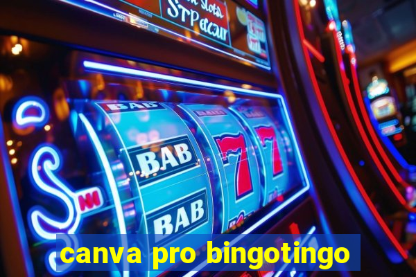 canva pro bingotingo