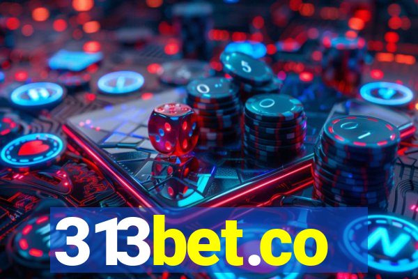 313bet.co