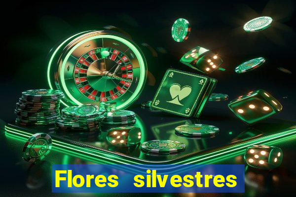 Flores silvestres brasileiras brasileiras flores silvestres nomes e imagens