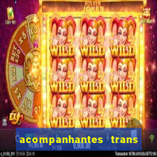 acompanhantes trans baixada fluminense