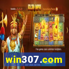 win307.com