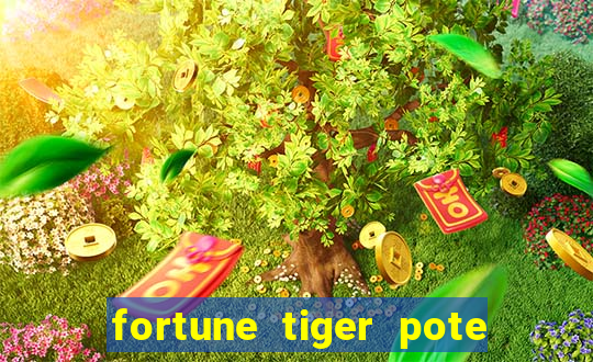 fortune tiger pote de ouro