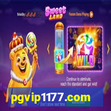 pgvip1177.com