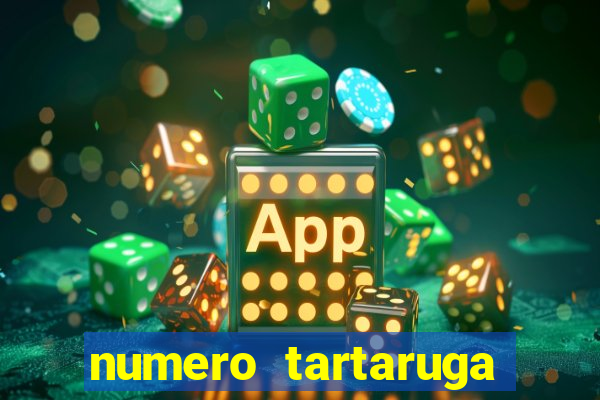 numero tartaruga jogo do bicho