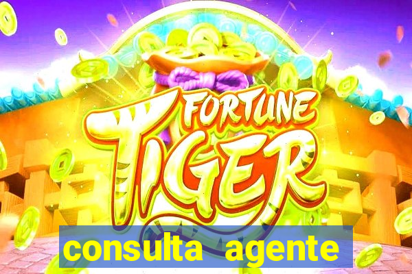 consulta agente autuador sp