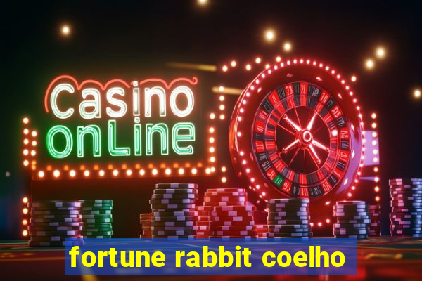 fortune rabbit coelho