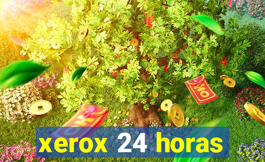 xerox 24 horas