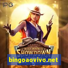 bingoaovivo.net