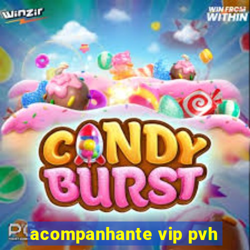 acompanhante vip pvh