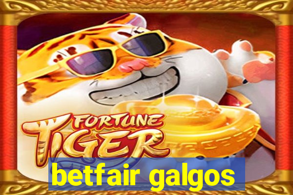 betfair galgos