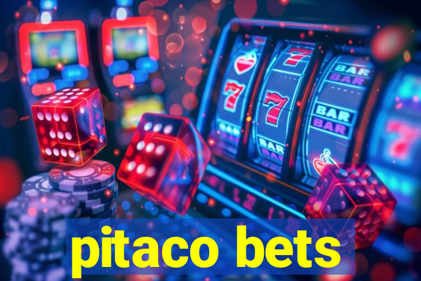 pitaco bets