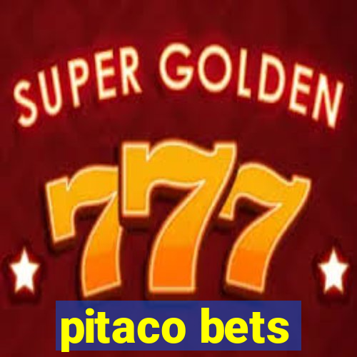 pitaco bets