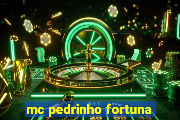 mc pedrinho fortuna