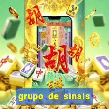 grupo de sinais trader telegram