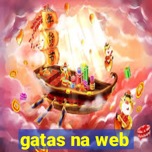 gatas na web