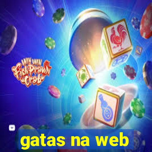 gatas na web