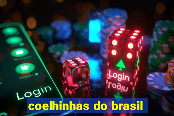 coelhinhas do brasil