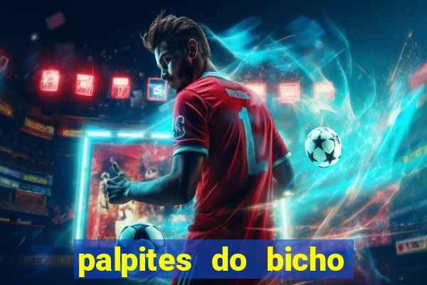 palpites do bicho no celular