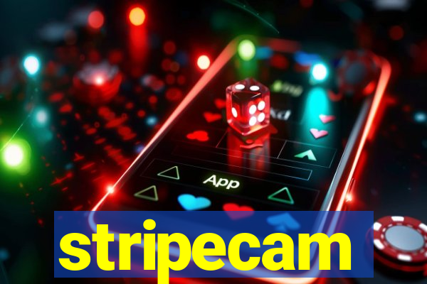 stripecam