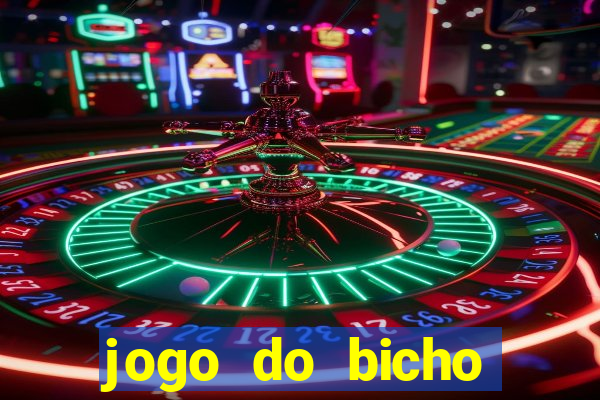 jogo do bicho crash bingo