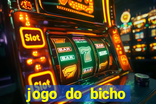 jogo do bicho crash bingo