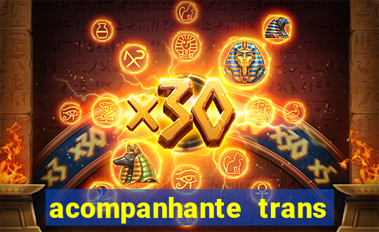 acompanhante trans em santos