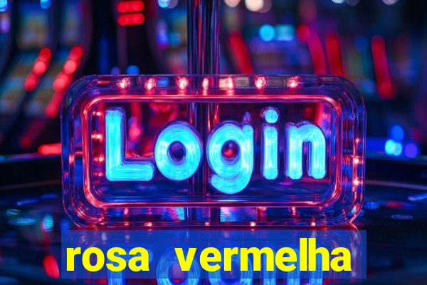 rosa vermelha (letra e cifra)