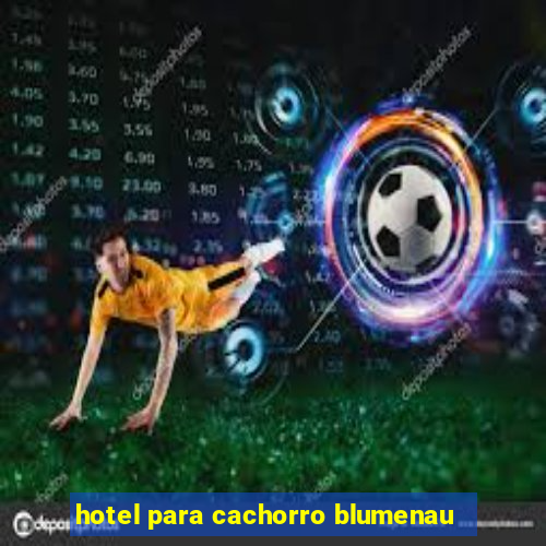 hotel para cachorro blumenau