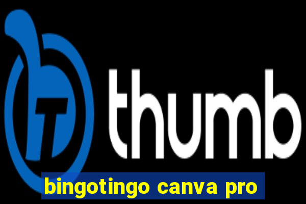 bingotingo canva pro