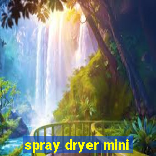 spray dryer mini