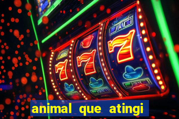 animal que atingi 230 decibeis