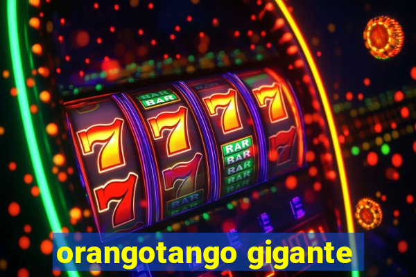 orangotango gigante