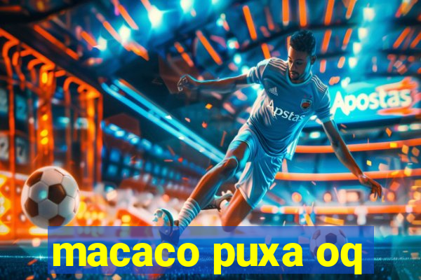 macaco puxa oq