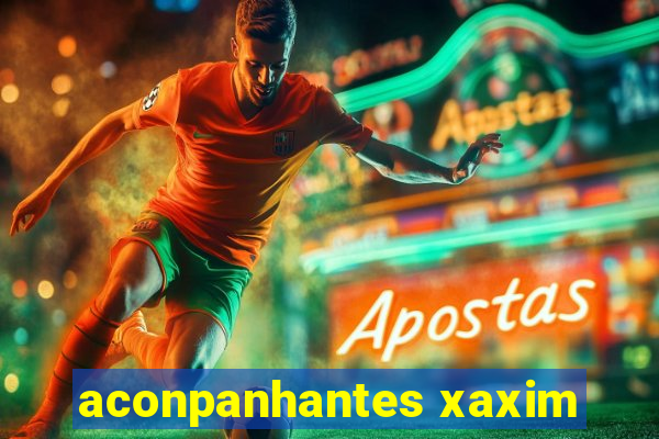 aconpanhantes xaxim