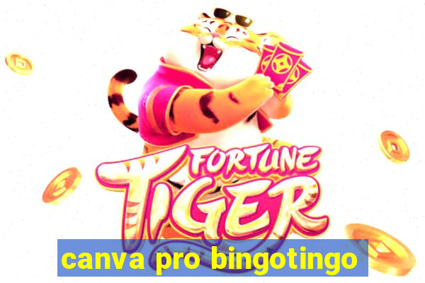 canva pro bingotingo