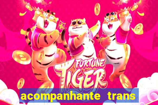 acompanhante trans porto seguro