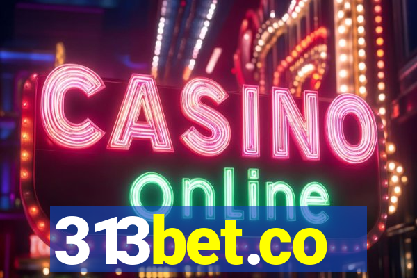 313bet.co