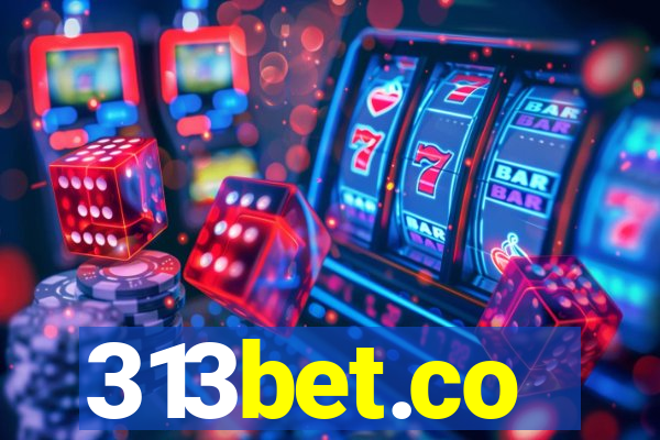 313bet.co