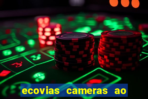 ecovias cameras ao vivo santos