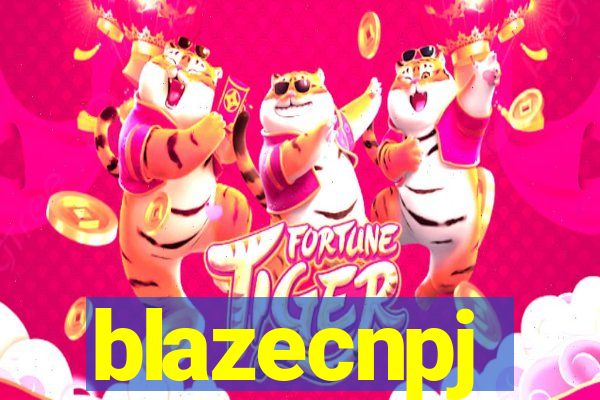 blazecnpj